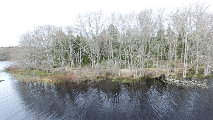 WentworthHalbinsel (68)